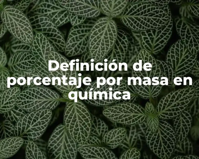 Definición de porcentaje por masa en química
