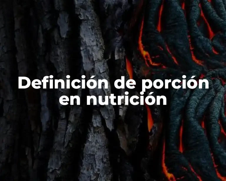 Definición de porción en nutrición