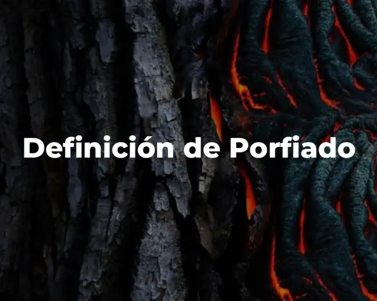Definición de Porfiado