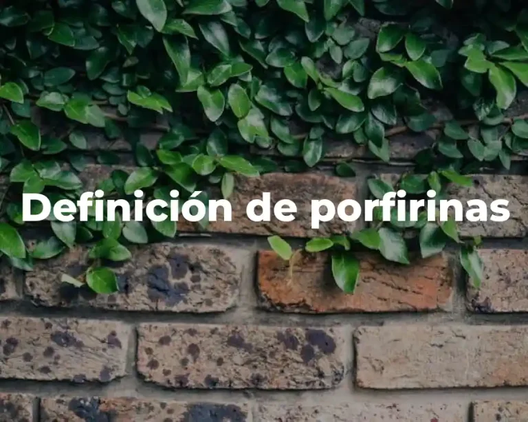 Definición de porfirinas