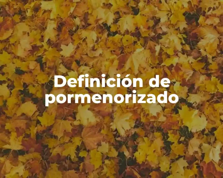 Definición de pormenorizado