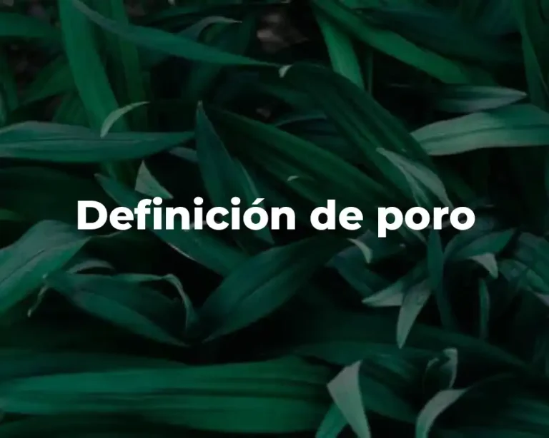 Definición de poro