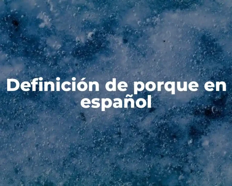 Definición de porque en español
