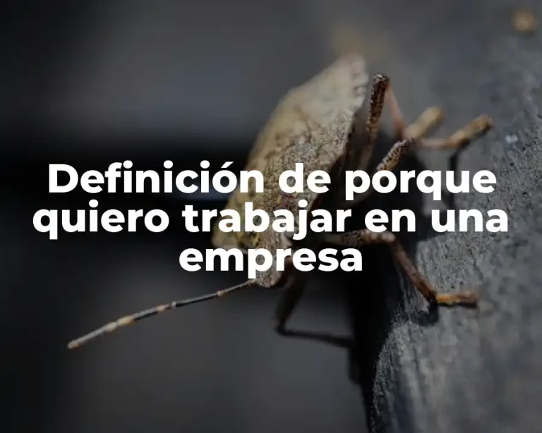 Definición de porque quiero trabajar en una empresa