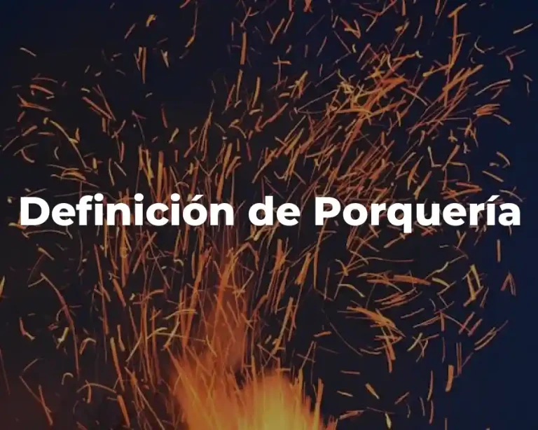 Definición de Porquería