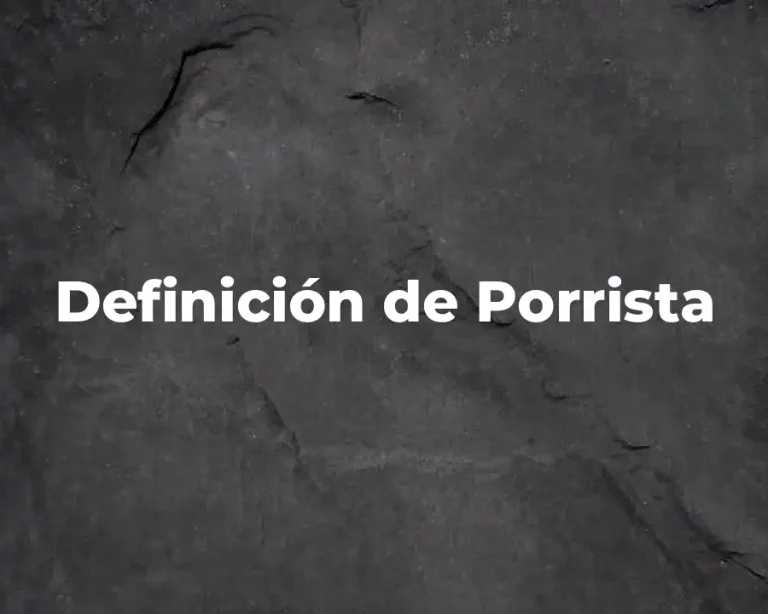 Definición de Porrista