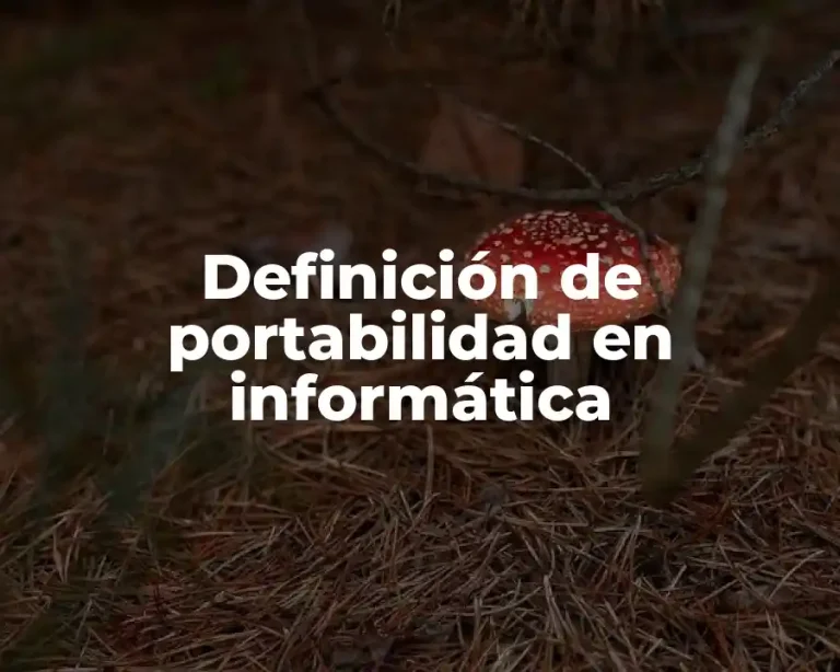 Definición de portabilidad en informática