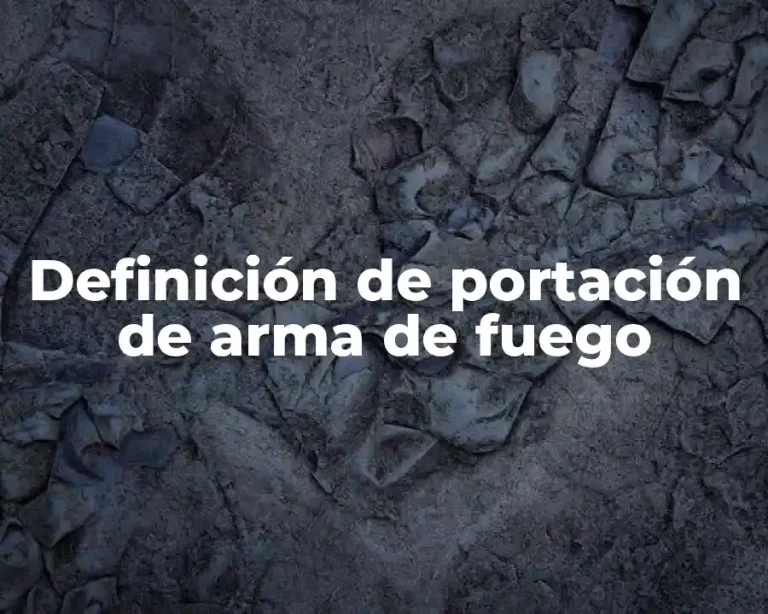 Definición de portación de arma de fuego