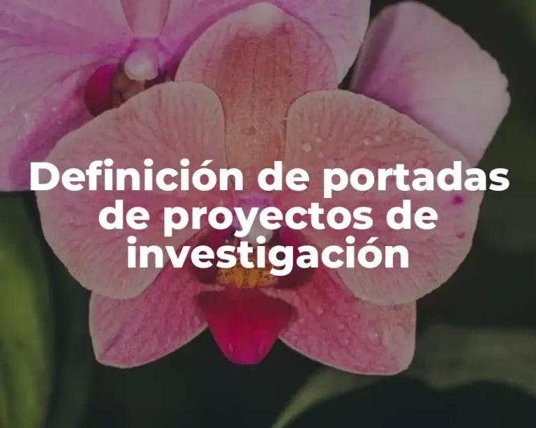 Definición de portadas de proyectos de investigación