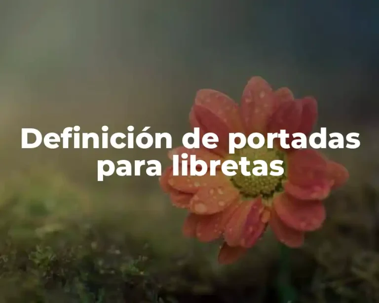 Definición de portadas para libretas