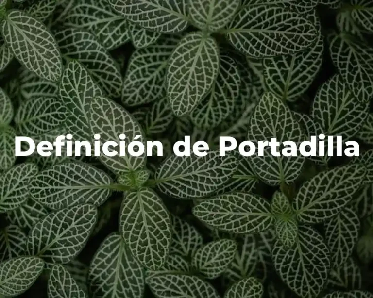 Definición de Portadilla