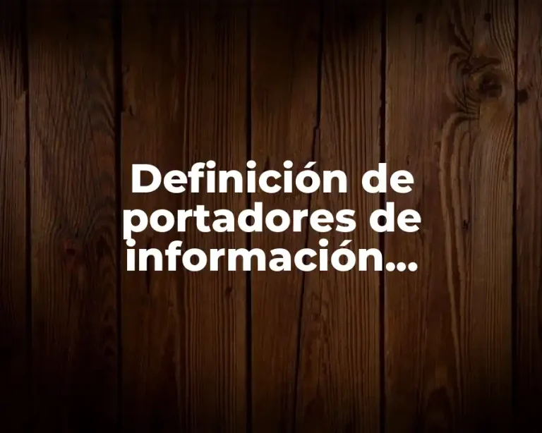 Definición de portadores de información matemática