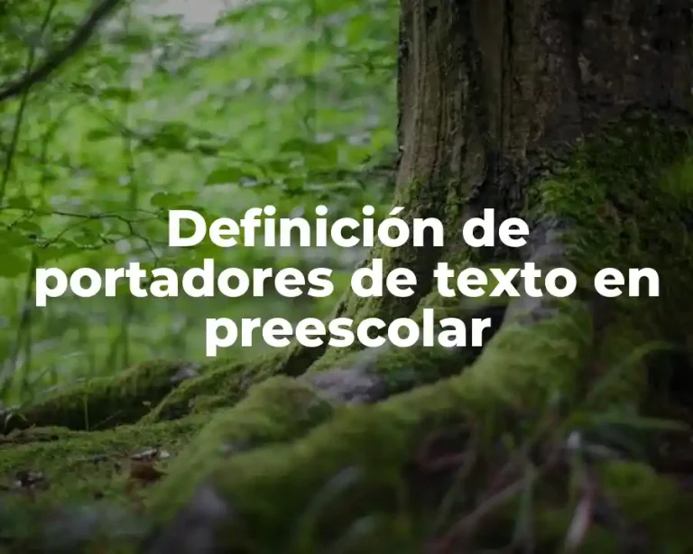 Definición de portadores de texto en preescolar