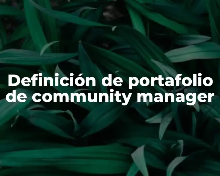 Definición de portafolio de community manager