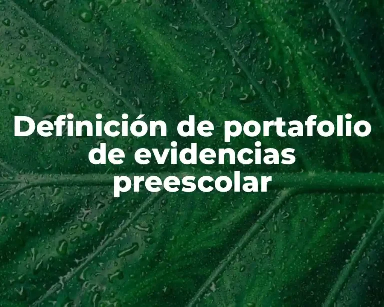 Definición de portafolio de evidencias preescolar