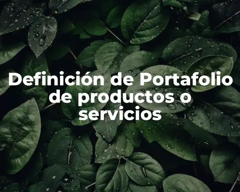 Definición de Portafolio de productos o servicios