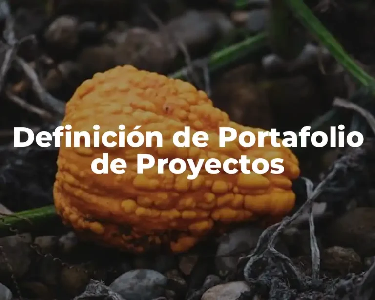Definición de Portafolio de Proyectos