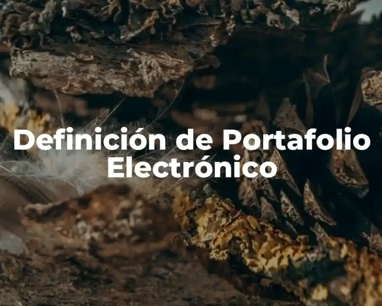 Definición de Portafolio Electrónico