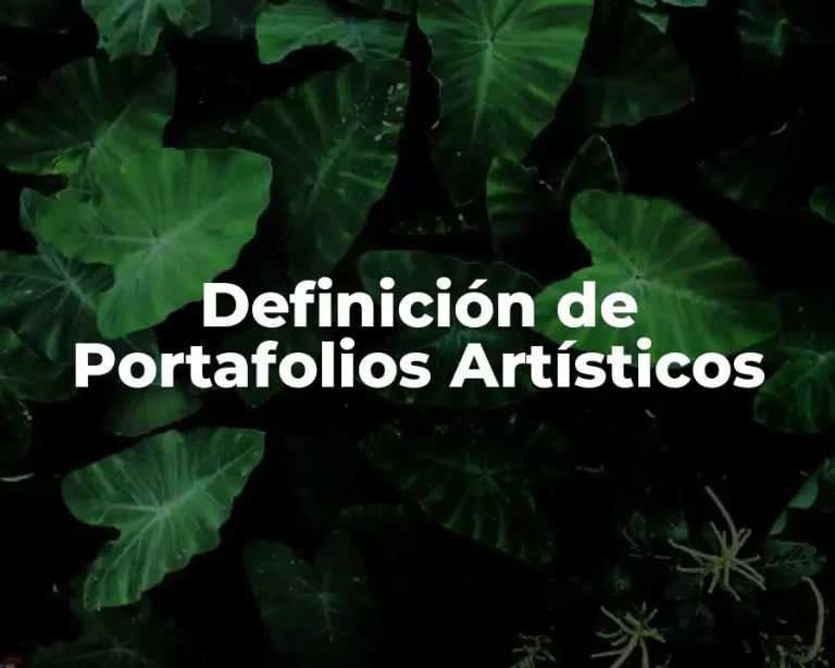 Definición de Portafolios Artísticos