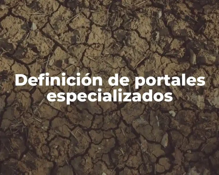 Definición de portales especializados