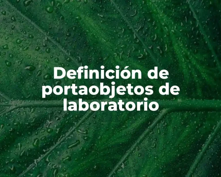 Definición de portaobjetos de laboratorio