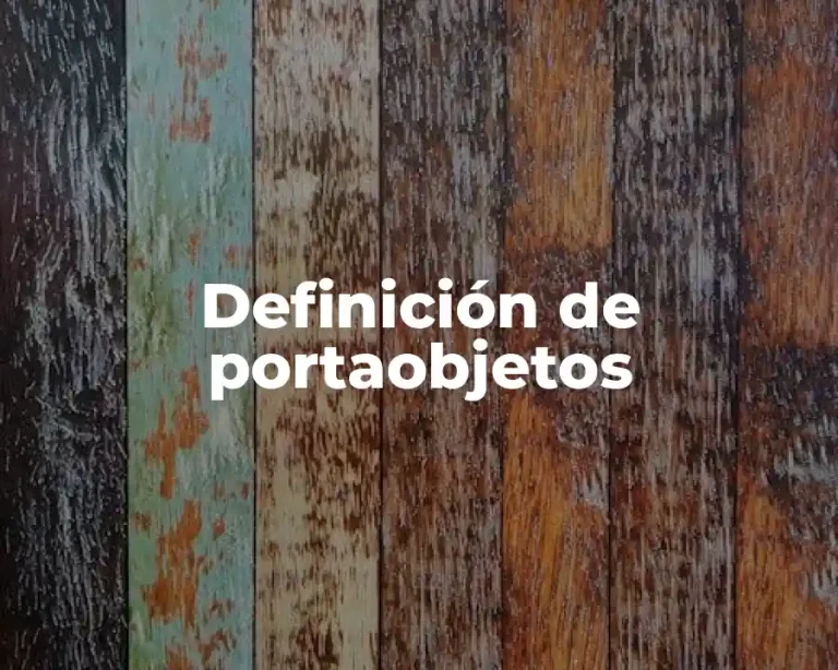 Definición de portaobjetos