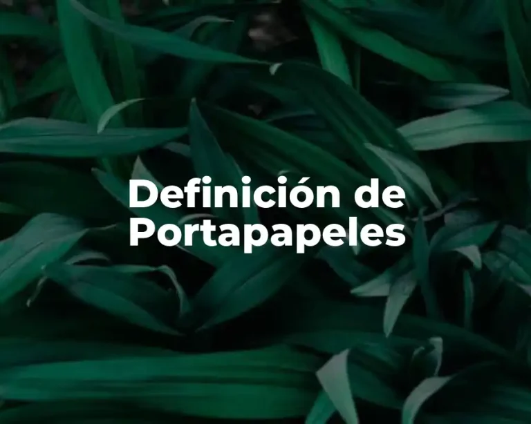 Definición de Portapapeles