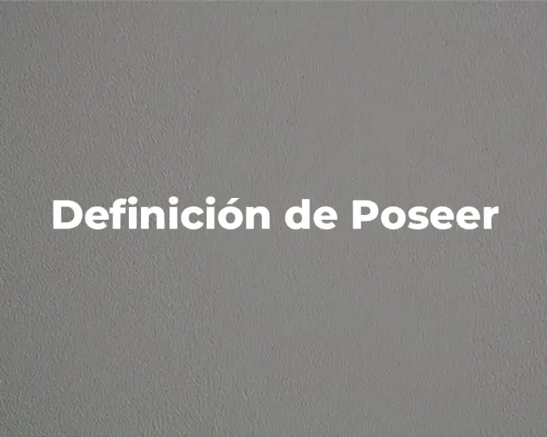 Definición de Poseer