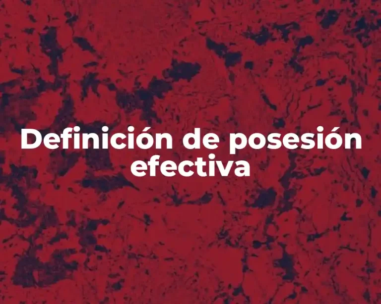 Definición de posesión efectiva