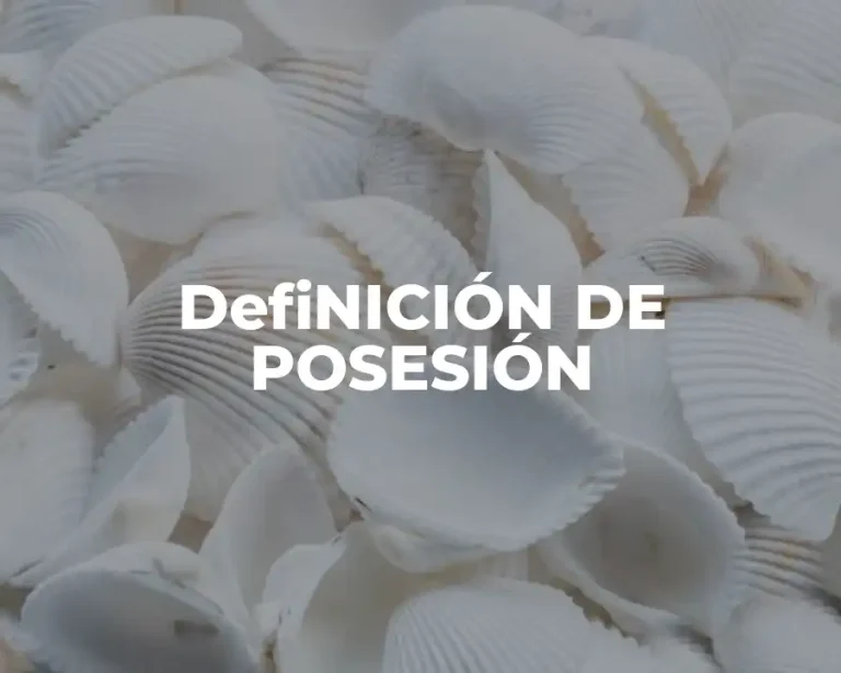 DefiNICIÓN DE POSESIÓN