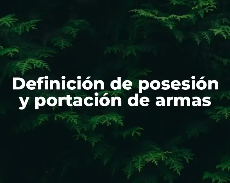 Definición de posesión y portación de armas