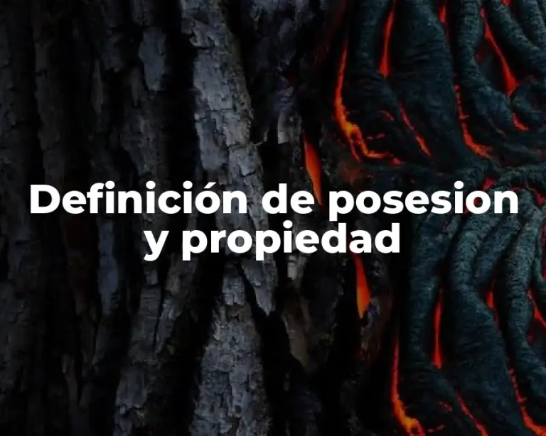 Definición de posesion y propiedad