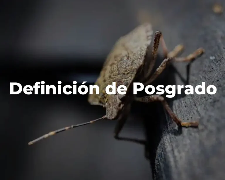 Definición de Posgrado