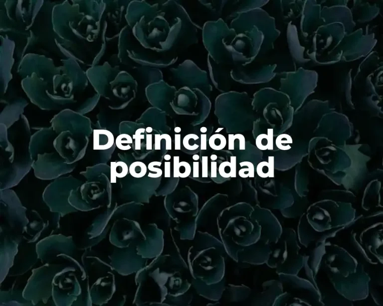 Definición de posibilidad
