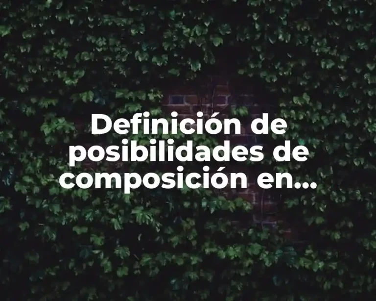 Definición de posibilidades de composición en diferentes formatos