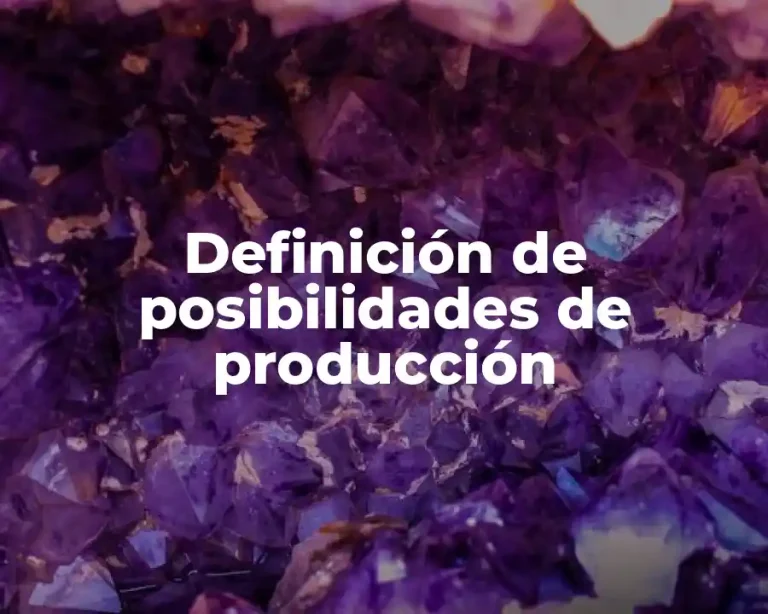 Definición de posibilidades de producción