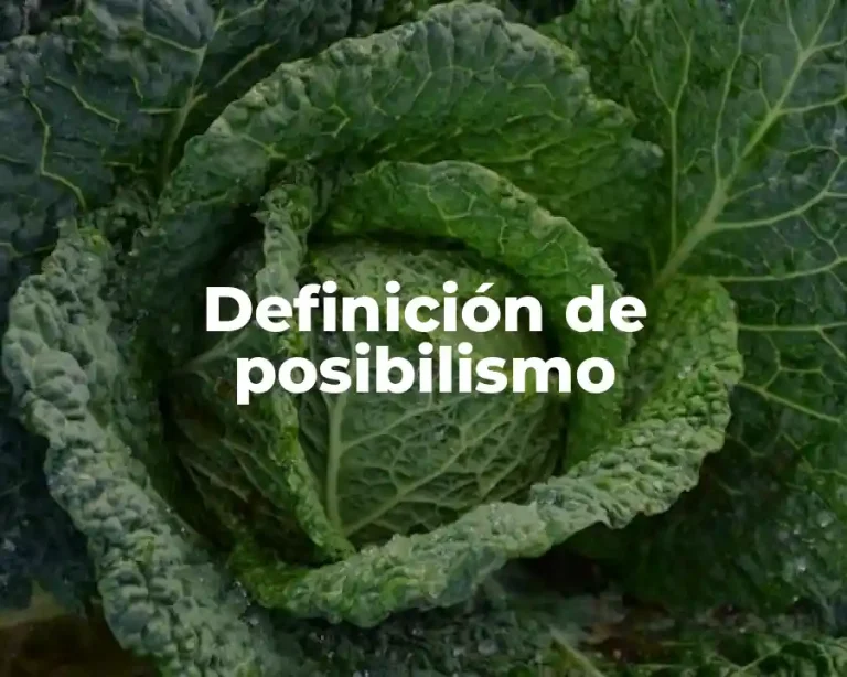 Definición de posibilismo