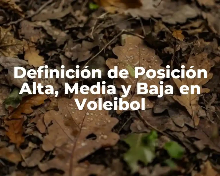 Definición de Posición Alta, Media y Baja en Voleibol