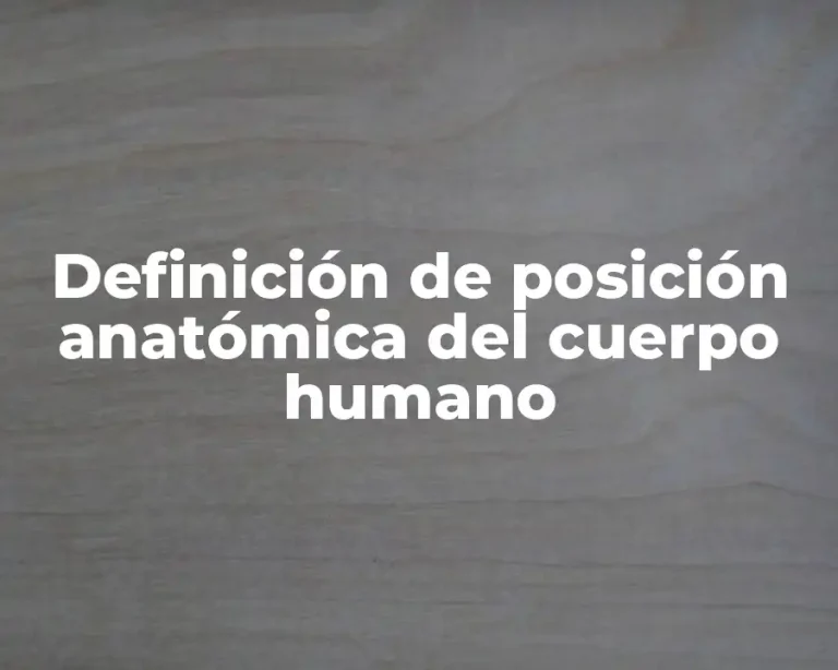 Definición de posición anatómica del cuerpo humano