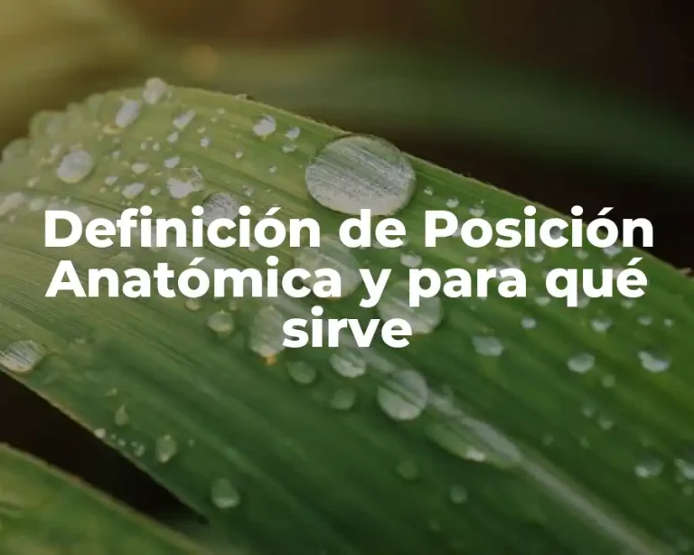 Definición de Posición Anatómica y para qué sirve