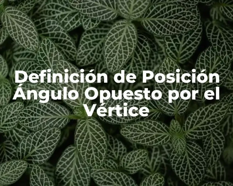 Definición de Posición Ángulo Opuesto por el Vértice