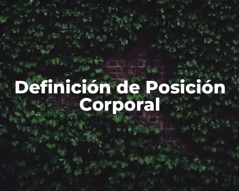 Definición de Posición Corporal