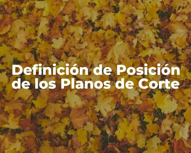 Definición de Posición de los Planos de Corte