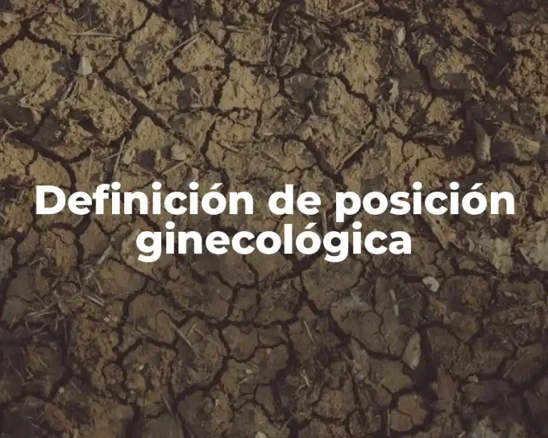 Definición de posición ginecológica
