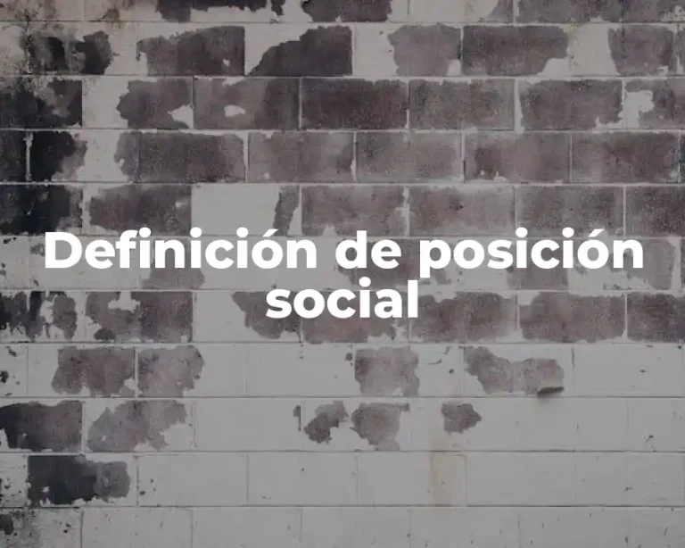 Definición de posición social