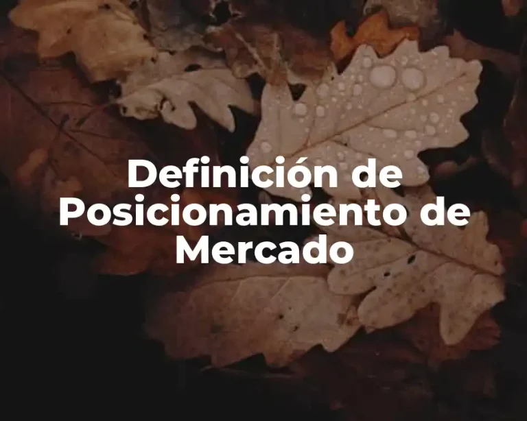 Definición de Posicionamiento de Mercado