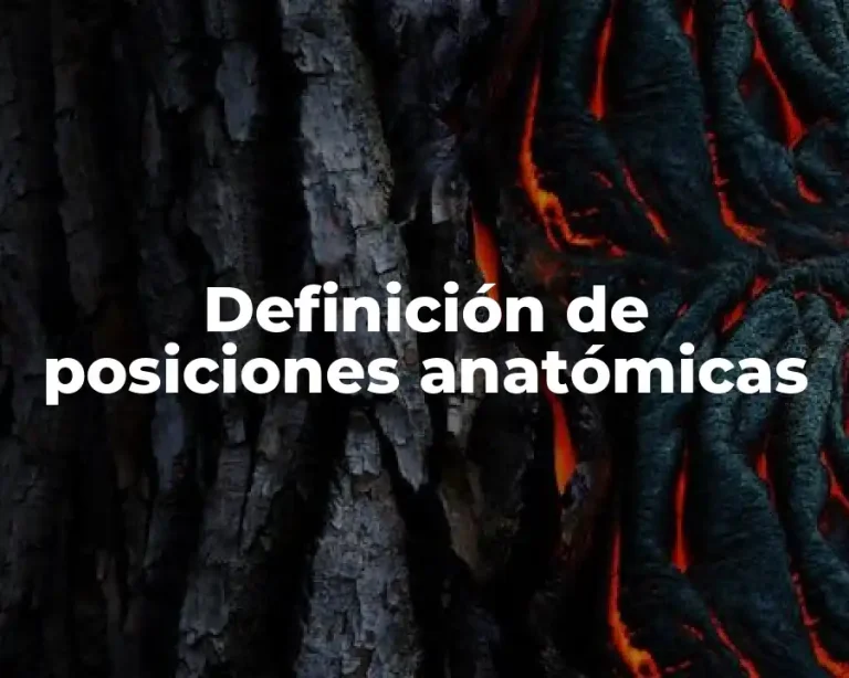 Definición de posiciones anatómicas