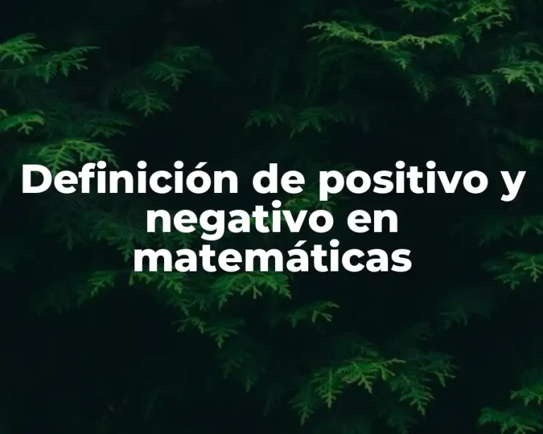 Definición de positivo y negativo en matemáticas