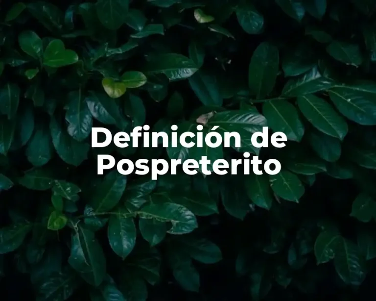 Definición de Pospreterito