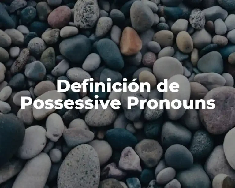 Definición de Possessive Pronouns